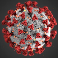 Updates on the coronavirus pandemic
