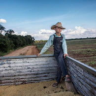 Beekeepers vs. Mennonites: Two traditional cultures clash…